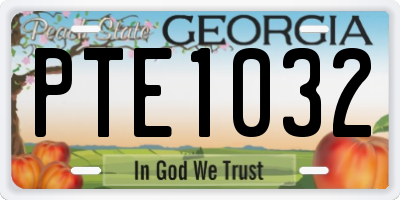 GA license plate PTE1032