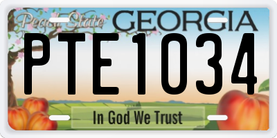 GA license plate PTE1034