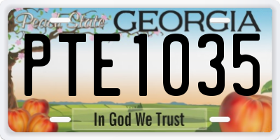 GA license plate PTE1035