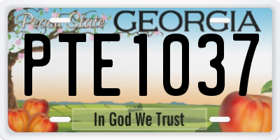 GA license plate PTE1037