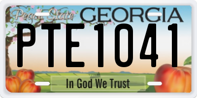 GA license plate PTE1041