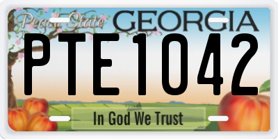 GA license plate PTE1042