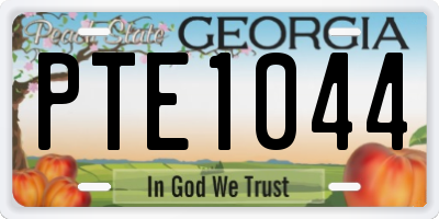GA license plate PTE1044