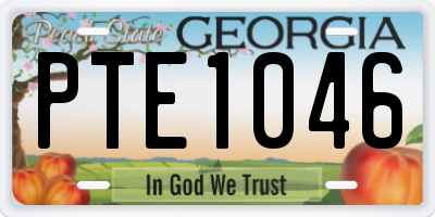 GA license plate PTE1046
