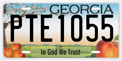 GA license plate PTE1055