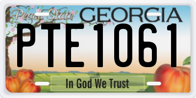 GA license plate PTE1061