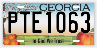 GA license plate PTE1063