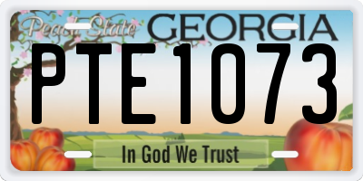 GA license plate PTE1073