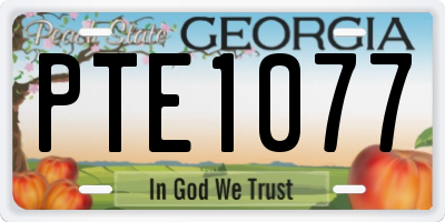 GA license plate PTE1077
