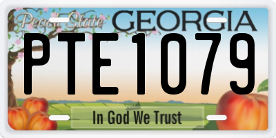GA license plate PTE1079