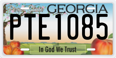 GA license plate PTE1085