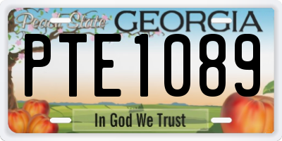GA license plate PTE1089