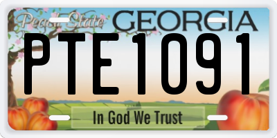 GA license plate PTE1091