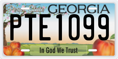 GA license plate PTE1099