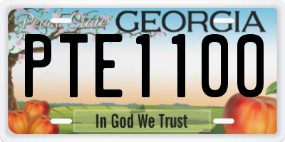 GA license plate PTE1100