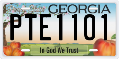 GA license plate PTE1101