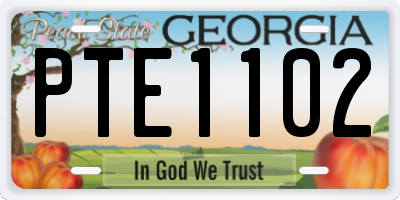 GA license plate PTE1102