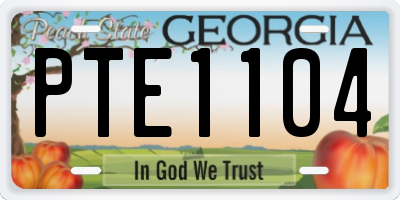 GA license plate PTE1104