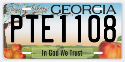 GA license plate PTE1108