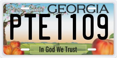 GA license plate PTE1109