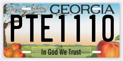 GA license plate PTE1110