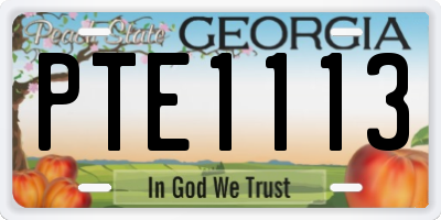 GA license plate PTE1113