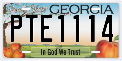 GA license plate PTE1114