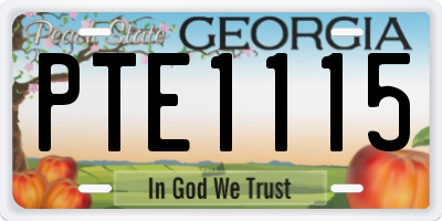 GA license plate PTE1115