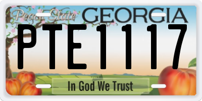 GA license plate PTE1117