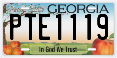 GA license plate PTE1119