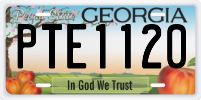 GA license plate PTE1120