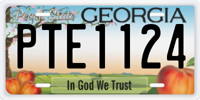 GA license plate PTE1124