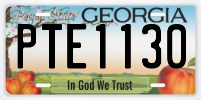 GA license plate PTE1130