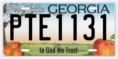 GA license plate PTE1131