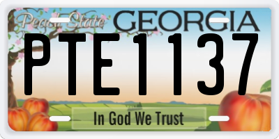 GA license plate PTE1137