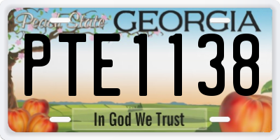 GA license plate PTE1138