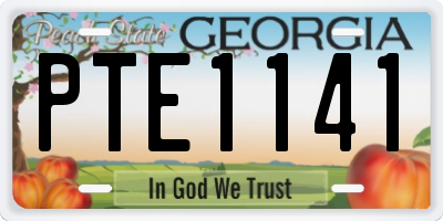 GA license plate PTE1141
