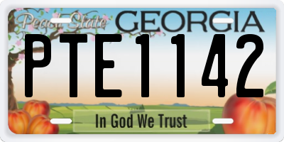GA license plate PTE1142