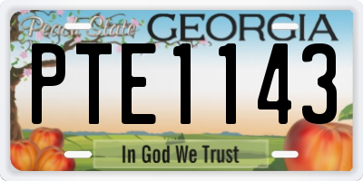 GA license plate PTE1143