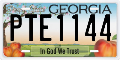 GA license plate PTE1144
