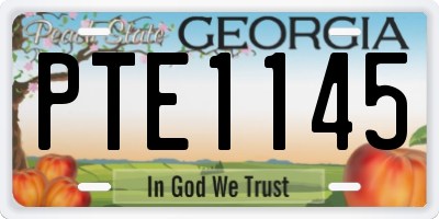 GA license plate PTE1145