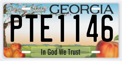 GA license plate PTE1146