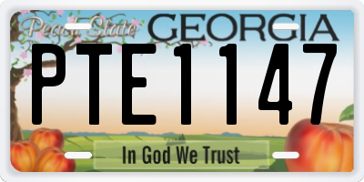 GA license plate PTE1147