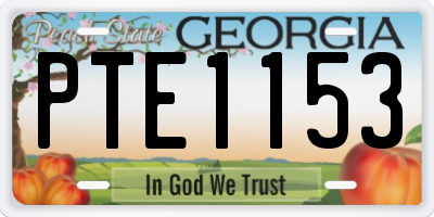 GA license plate PTE1153