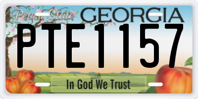 GA license plate PTE1157