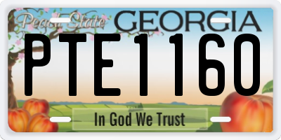 GA license plate PTE1160