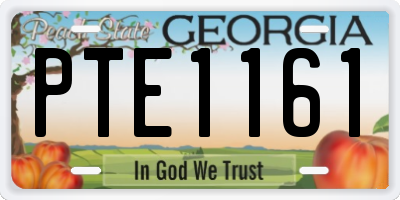 GA license plate PTE1161