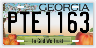 GA license plate PTE1163