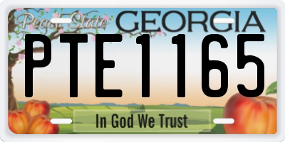 GA license plate PTE1165