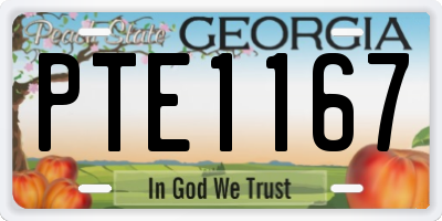 GA license plate PTE1167